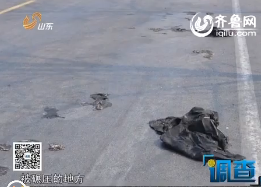 奇葩男用狗尸演车祸身亡逃债骗老婆与情人姘居