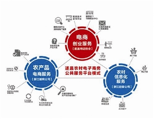 搭建网上技术服务+线下公共服务,为浙江省遂昌县电商创业提供