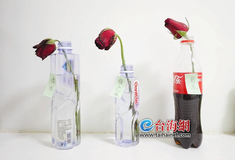 鲜花怎么保存记者验证玫瑰花们爱喝可乐