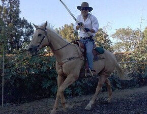 在自家的马场骑马射箭，David说，饲养训练动物不轻松，但乐在其中。（美国《世界日报》/杨青 摄）