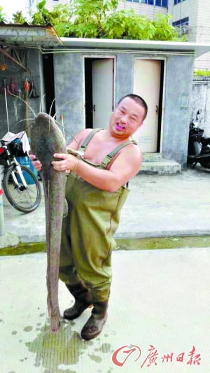 广东现1.5米鲶鱼 钓友不敢吃将其放生