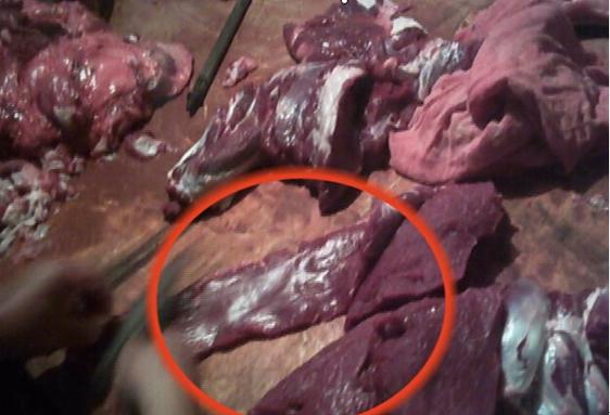 图中圆圈里的肉是摊贩经过“修饰”的猪肉。将老母猪肉上的肥肉和筋膜剔除后，猪肉瞬间变“牛肉”。