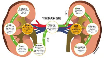 鲜活海鲜的运输方法_鲜活海鲜_海鲜超市门头图片(4)