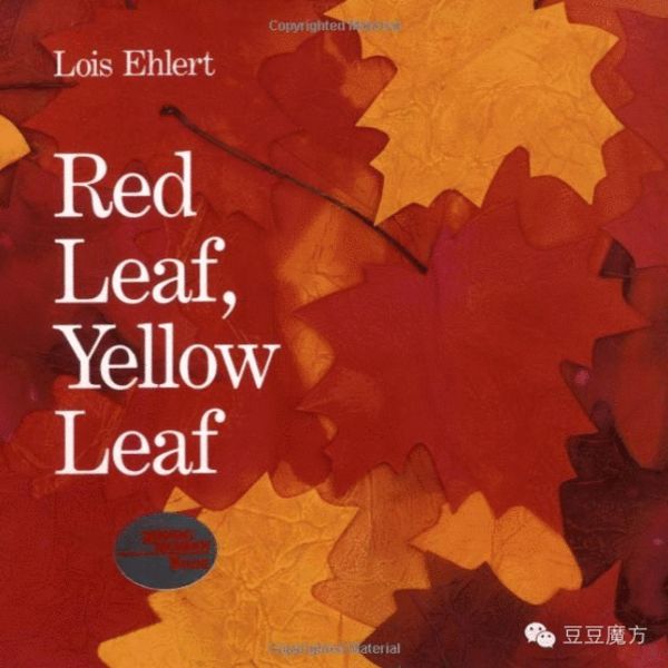 red leaf, yellow leaf