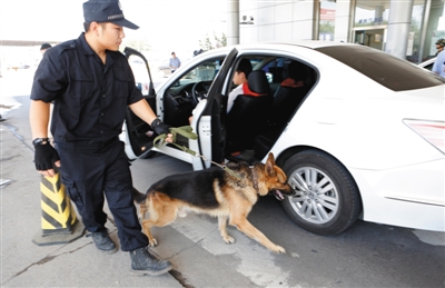 警犬协助民警对进京车辆进行检查。