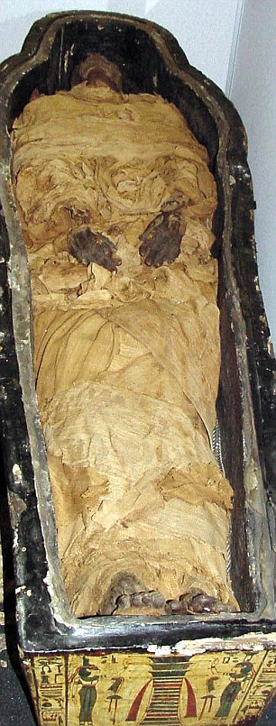 研究发现埃及古墓木乃伊死亡时间比以往认知还早1500年(组图)-搜狐滚动