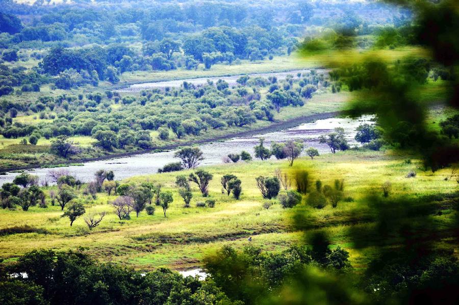 【组图】大美珍宝岛湿地(组图)