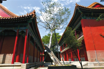 图片版权归原作者所有