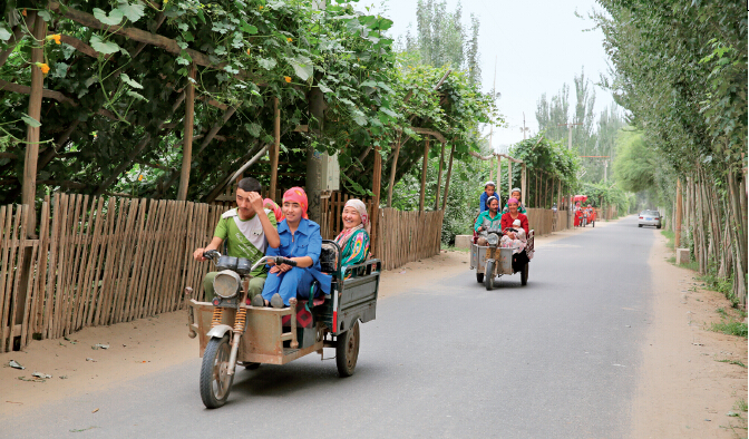 南疆维吾尔族村:人均年收入三千 99.99%拥护党