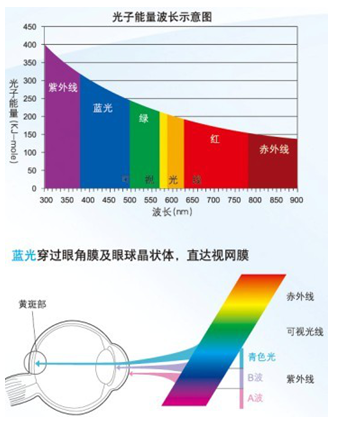 【组图】明月镜片:蓝光危害到底有多恐怖(组图)