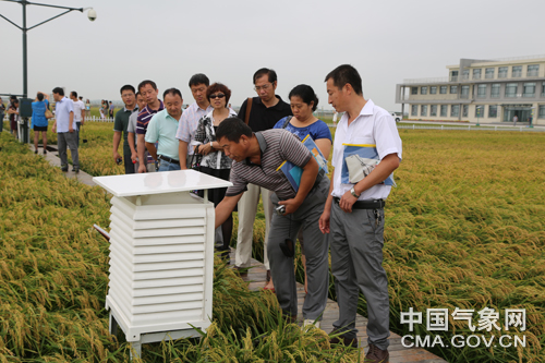 黑龙江:研讨气象保障现代农业发展新举措(图)