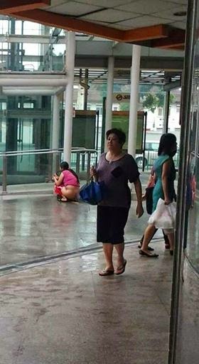 【环球网综合报道】据新加坡南洋视界网8月24日报道，今年8月13日在新加坡荷兰村地铁站外大街上大便的女子身份已经确认，她是一名34岁的新加坡人。