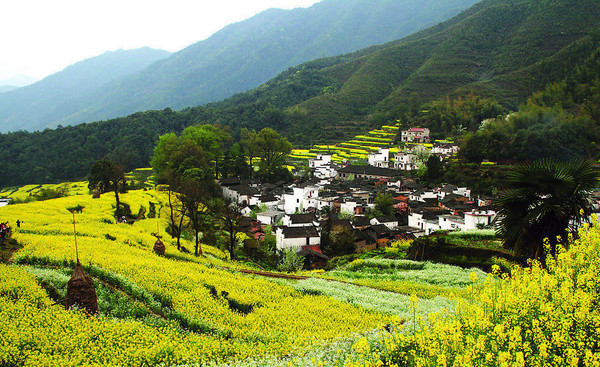 江西景点介绍-婺源