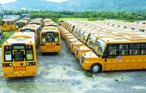 52辆新校车   撂荒快一年   浙江温岭市城西街道有个芷胜庄村,村里图片