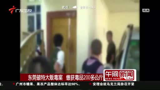 东莞侦破特大贩毒案豪华别墅内遍地毒品一田园层设计图别墅图片