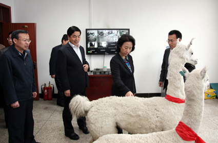 6月份以来,山西省委常委杜善学,陈川平,聂春玉相继落马.