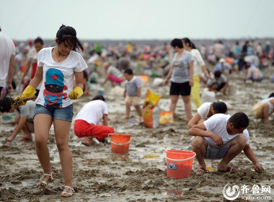 近日,日照岚山多岛海景区西侧海域,海水退潮后惊现万人"拾蛤大军"