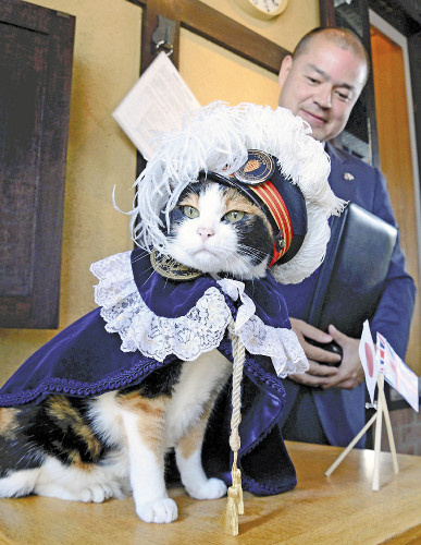 日本猫站长着骑士服迎接英国驻大阪总领事(图)