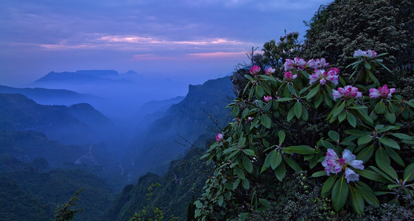 轿顶山--给你不一样的风景