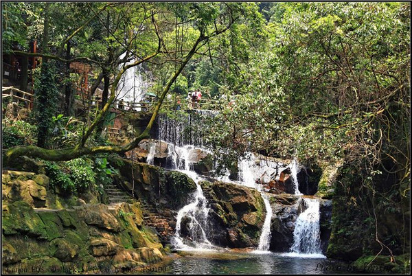 广东肇庆:鼎湖山听泉