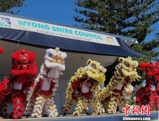 图为澳大利亚新州Wyong市中国文化节活动演出舞狮节目。　沙长华　摄