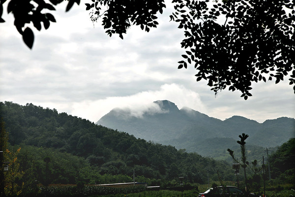 普湾新区普兰店市的生态旅游资源非常丰富,其中最为著名的以小黑山