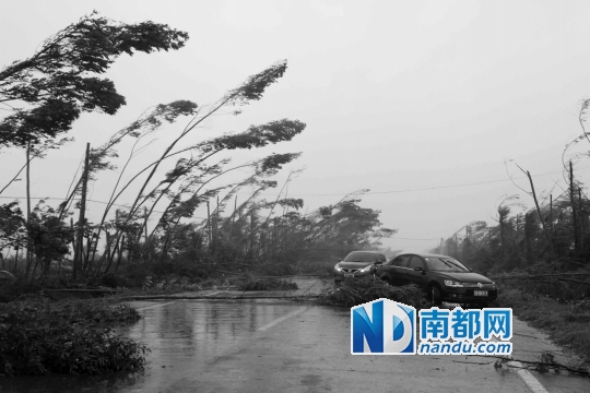 徐闻个镇人口_徐闻曲界镇菠萝基地