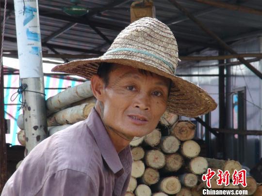 广西南宁锯木工莫新昌因长相似中国首富马云而备受关注。 曹旺 摄