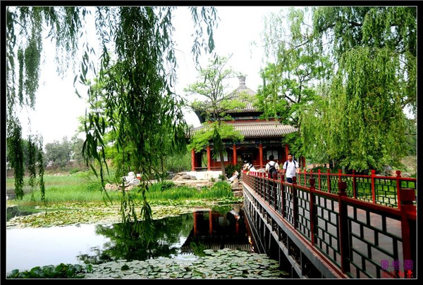 【圆明园】这里面垂柳依依,亭台水榭.