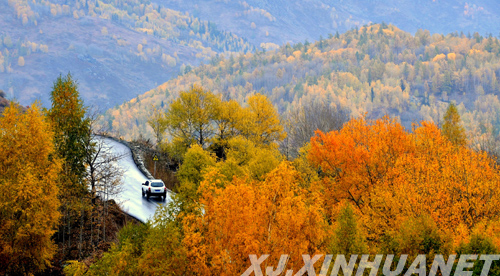 新疆阿勒泰禾木公路 路过最美的风景(组图)