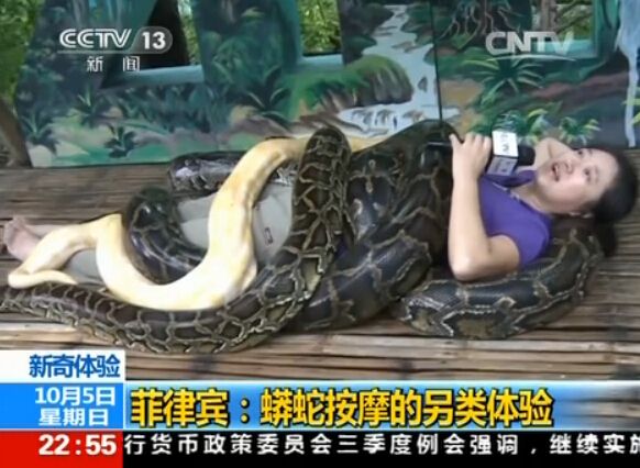 梦境解析，女孩梦见大蟒蛇压身的深层含义与心理暗示