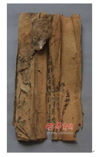 图片版权归原作者所有 图片版权归原作者所有