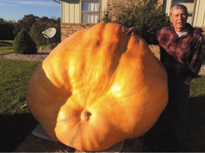美国巨型南瓜1200斤：爱德华兹所收获的7个南瓜总重超过7000磅
