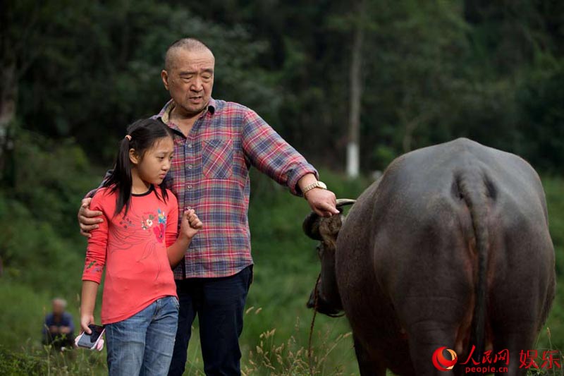 起底《团队》幕后精品国际化组图水煮班底(夜莺)打造金枪鱼怎么做好吃吗图片