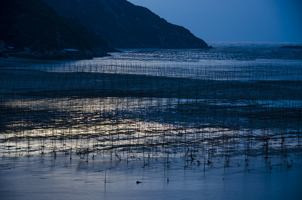 行摄霞浦寻找中国最美的滩涂早就听说福建霞浦是摄影天堂,那里是中国