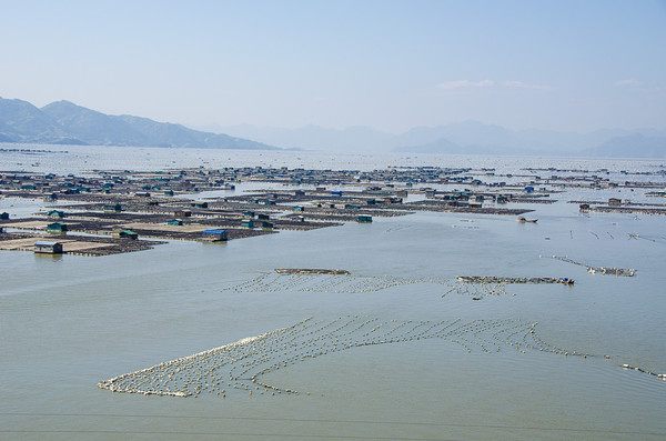 霞浦东安岛跟关门有多少人口_上海浦东机场图片