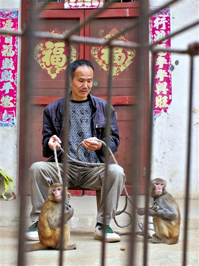 10月13日，耍猴人鲍庆山牵着从牡丹江带回的两只小猴在家门口玩耍。新京报记者 周岗峰 摄