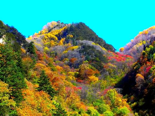 黑水冰山彩林节开幕