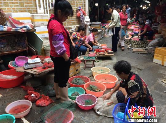 10月23日，广西北海市南珠市场的一名小贩向过往市民兜售网袋中的野生鸟类。 陈燕 摄