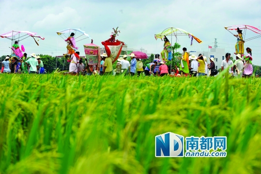 南朗镇吃海鲜_返璞归“蒸”海鲜做主(2)