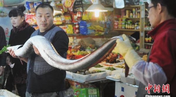 渔民捕获近2米长巨型海鳗鱼