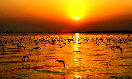 外国人眼里中国最美的20处景点－宁夏沙湖