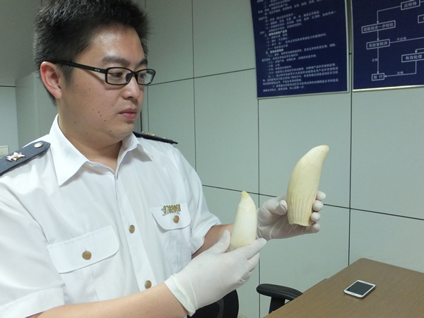 山东济南检验检疫局从进境邮件中截获鲸牙