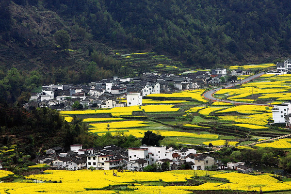 外国人眼里中国最美的20处景点－婺源
