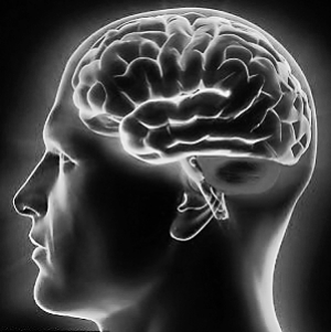 科学家解密最强大脑:瞬间记忆与智商有关