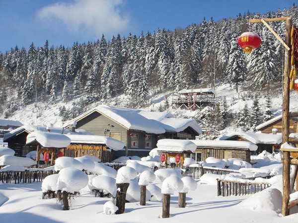 沈阳到牡丹江雪乡旅游《爸爸去哪儿》余温尚在