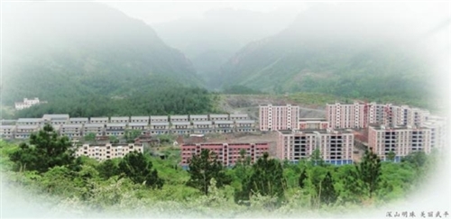 近年来,地处武陵山深处的丰都县武平镇随着丰彭公路的建设和垫丰武
