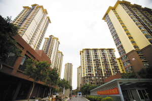 泽惠园 本版图片 都市时报记者 孟祝斌