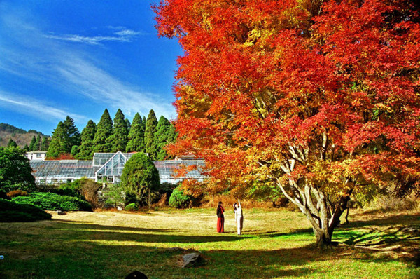 庐山秋景