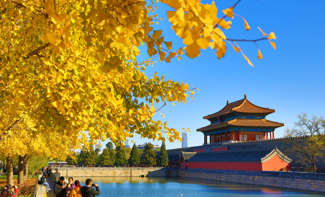 【秋意浓】北京apec蓝下的皇城秋色美如画